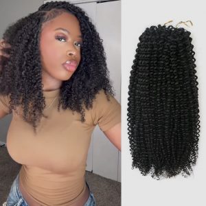 Kinky Curly Crochet Hair